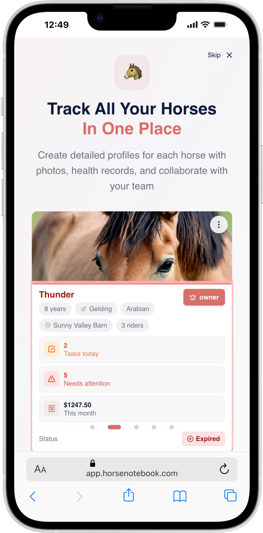 Horse Notebook App Screenshot 2